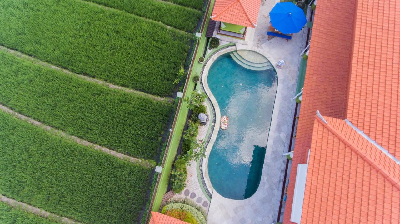 Villa Padi ชังกู ภายนอก รูปภาพ