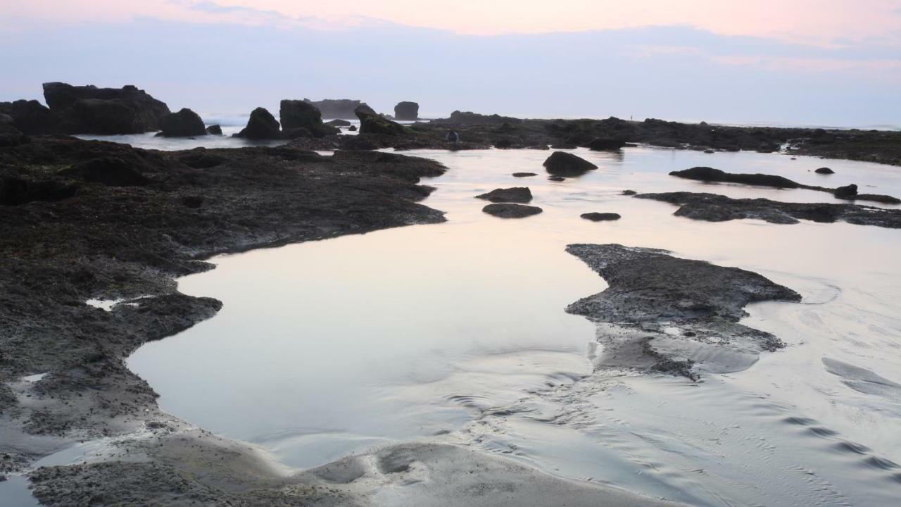 Villa Padi ชังกู ภายนอก รูปภาพ
