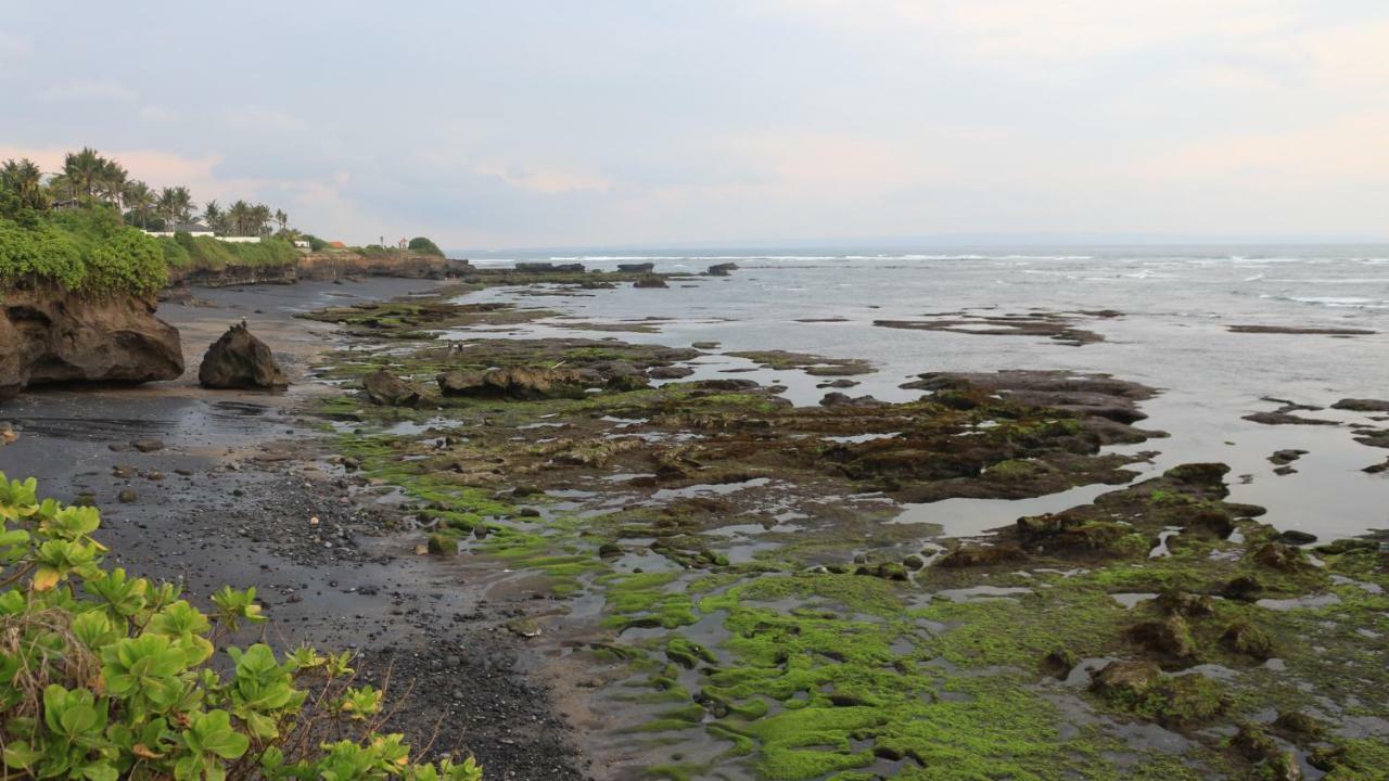 Villa Padi ชังกู ภายนอก รูปภาพ